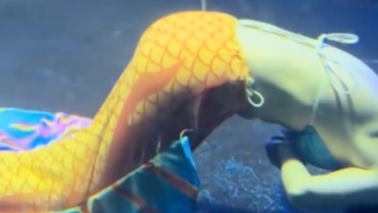 Mermaid performer faints mid-show at aquarium in shocking scenes