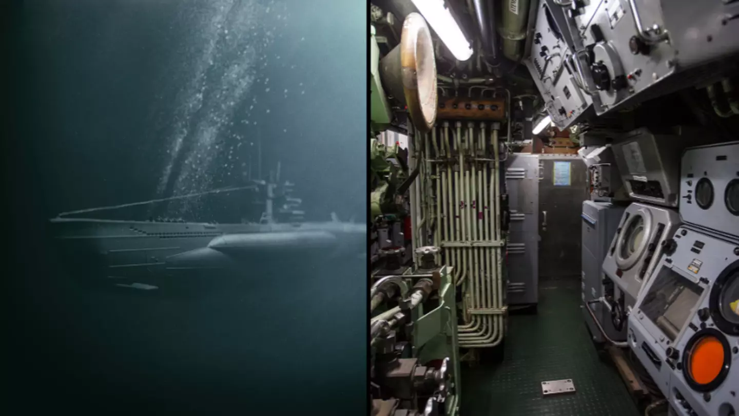 Terrifying reality of what happens if you accidentally hear an active submarine sonar while underwater