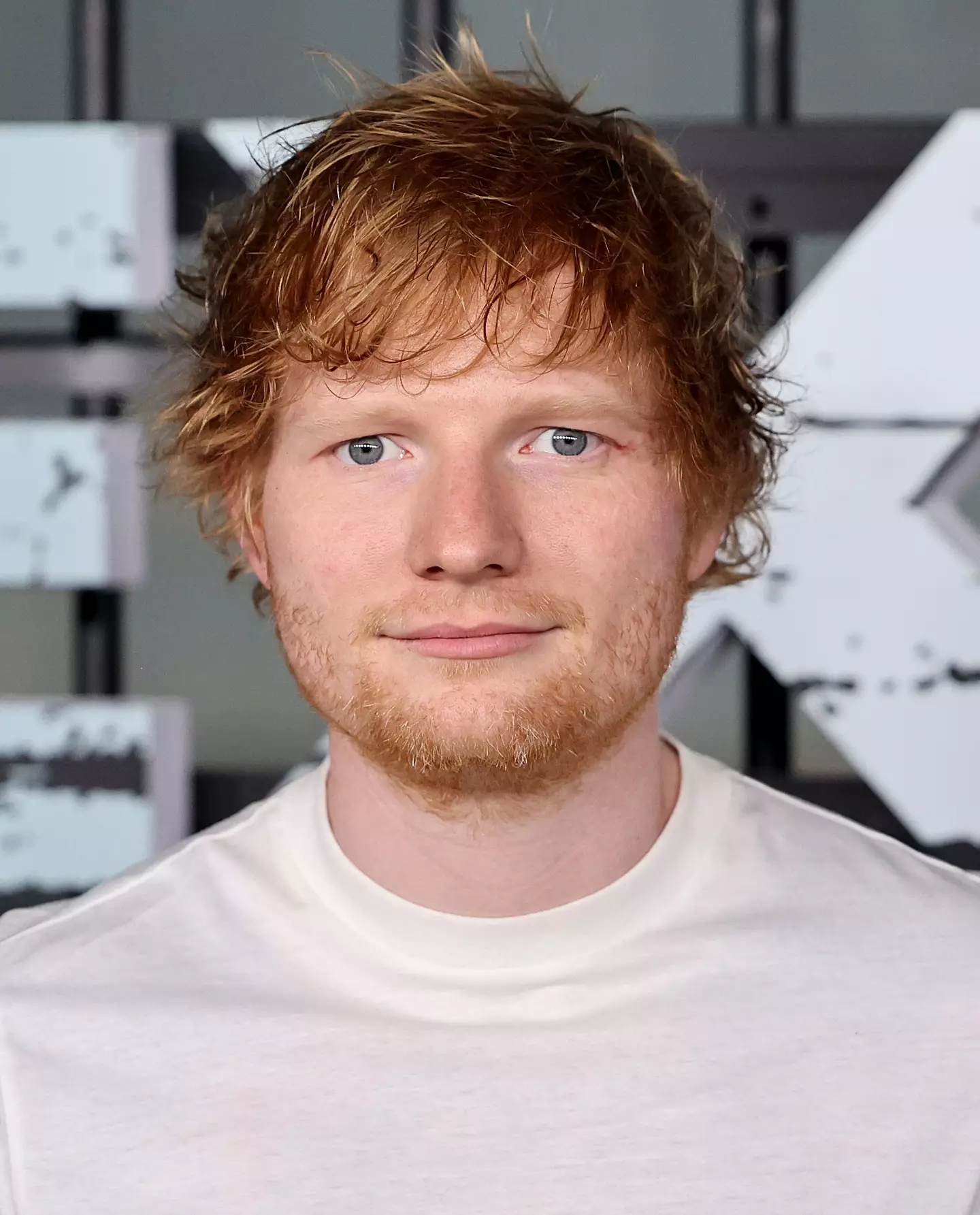 Even Ed Sheeran wasn't safe from the cartoon character comparison.