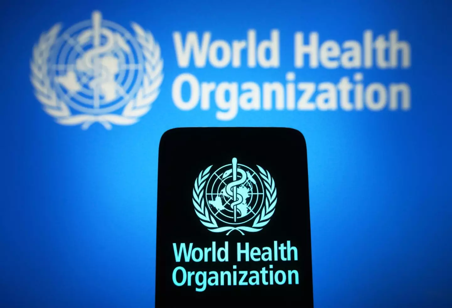 The World Health Organisation (WHO) has declared mpox as a global health emergency. (Pavlo Gonchar/SOPA Images/LightRocket via Getty Images)