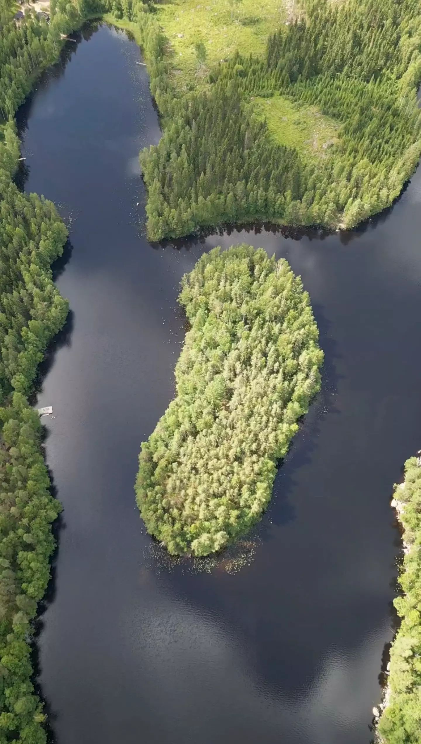 The island had been vacant for 10 years (SWNS)