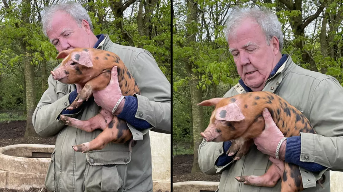 Jeremy Clarkson explains why he still eats pork despite the tragic death of his piglets