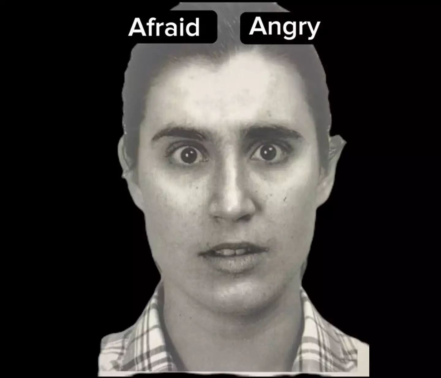 Is this the face of someone who is afraid or angry?