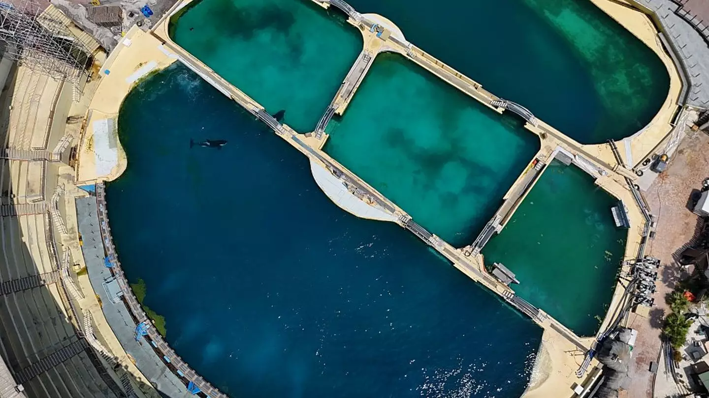 Shot of abandoned marine park (Mohamad Salaheldin Abdelg Alsayed/Anadolu via Getty Images)
