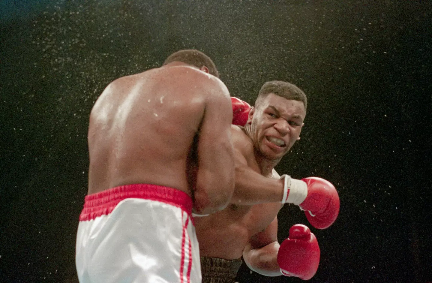 Mike Tyson lands the knockout punch to the jaw of challenger Larry Holmes during fourth round of the World Heavyweight Championship.