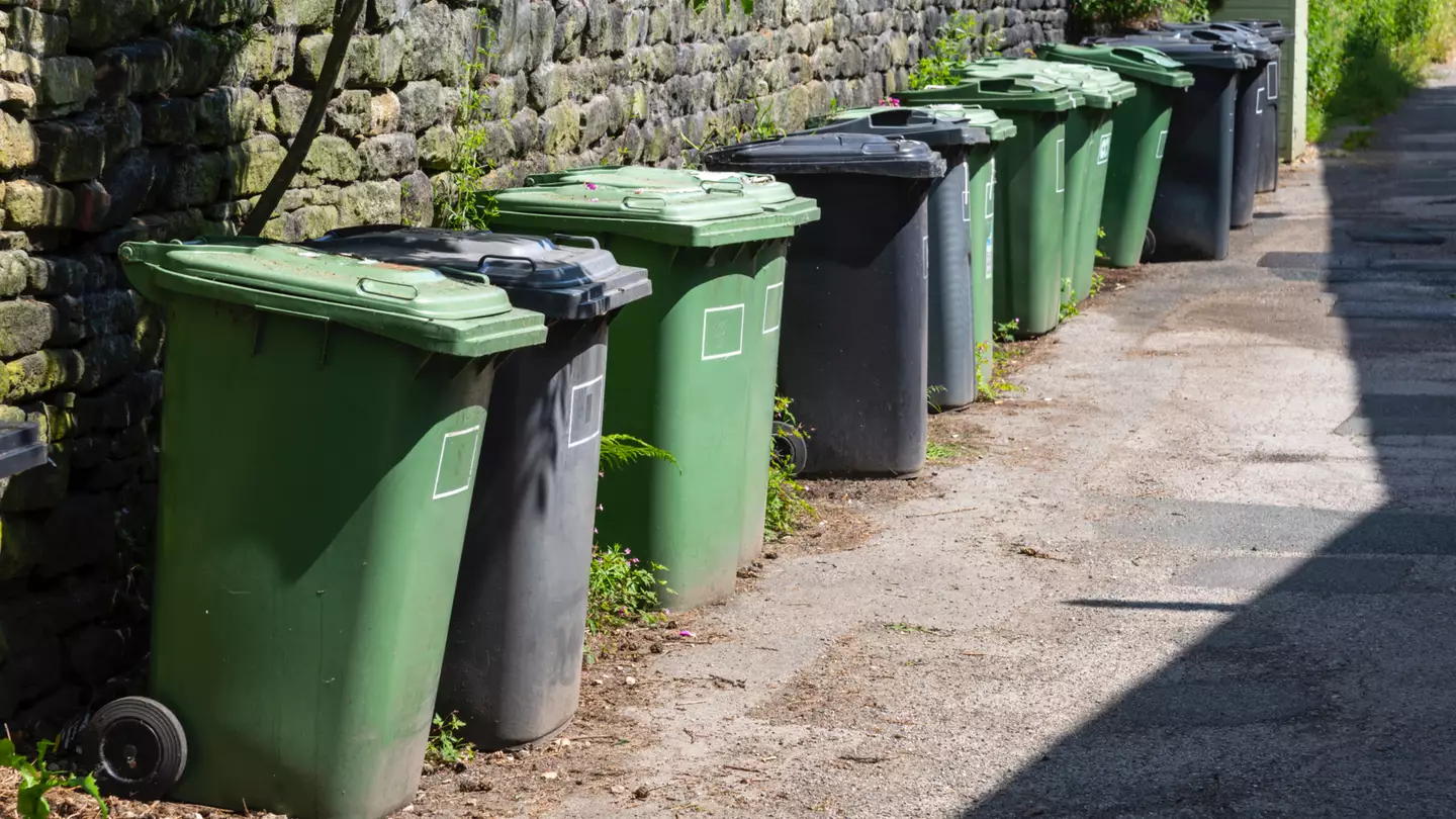 New recycling rules for all households in England after government announcement