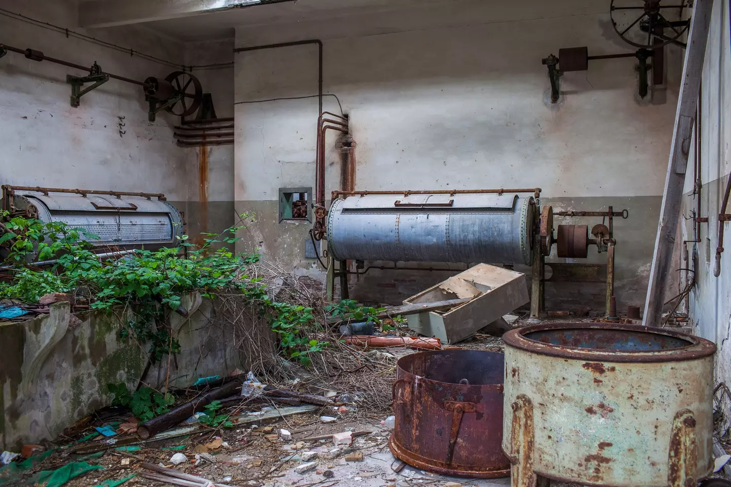 How 'world's most haunted island' got its title after man spent a night there and shared 'alarming' encounters 2 These days, it's a ghost town (Marco Di Lauro/Getty Images)