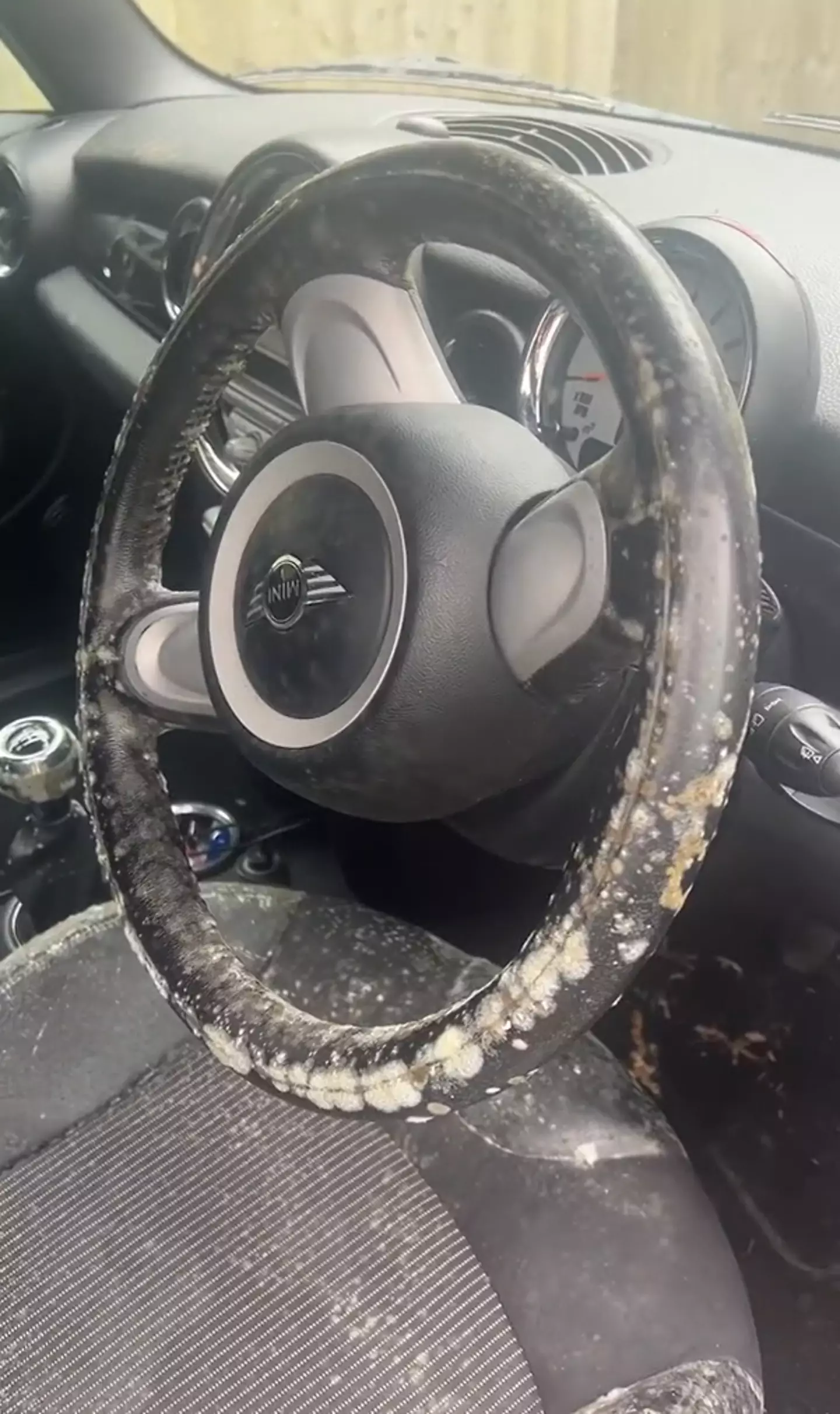 A woman was horrified after discovering the interior of her car was covered in thick mould.