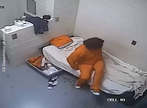 Maxwell has tried to fight for her freedom since being imprisoned (DoJ)