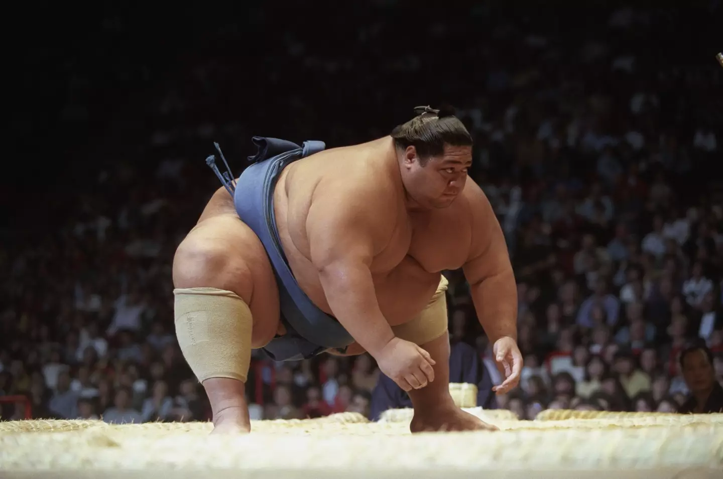 An example of a sumo wrestler in Japan.