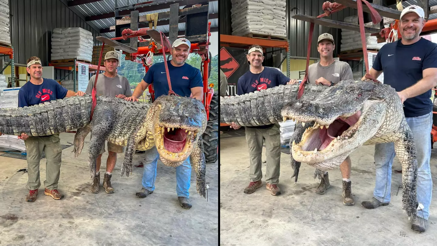 Monster alligator weighing 57 stone sets new record with hunters left 'mentally exhausted' reeling him in
