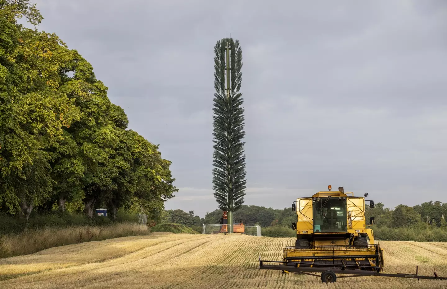 The prickly 'disguised' phone mast sticks out like a sore thumb, to say the least.