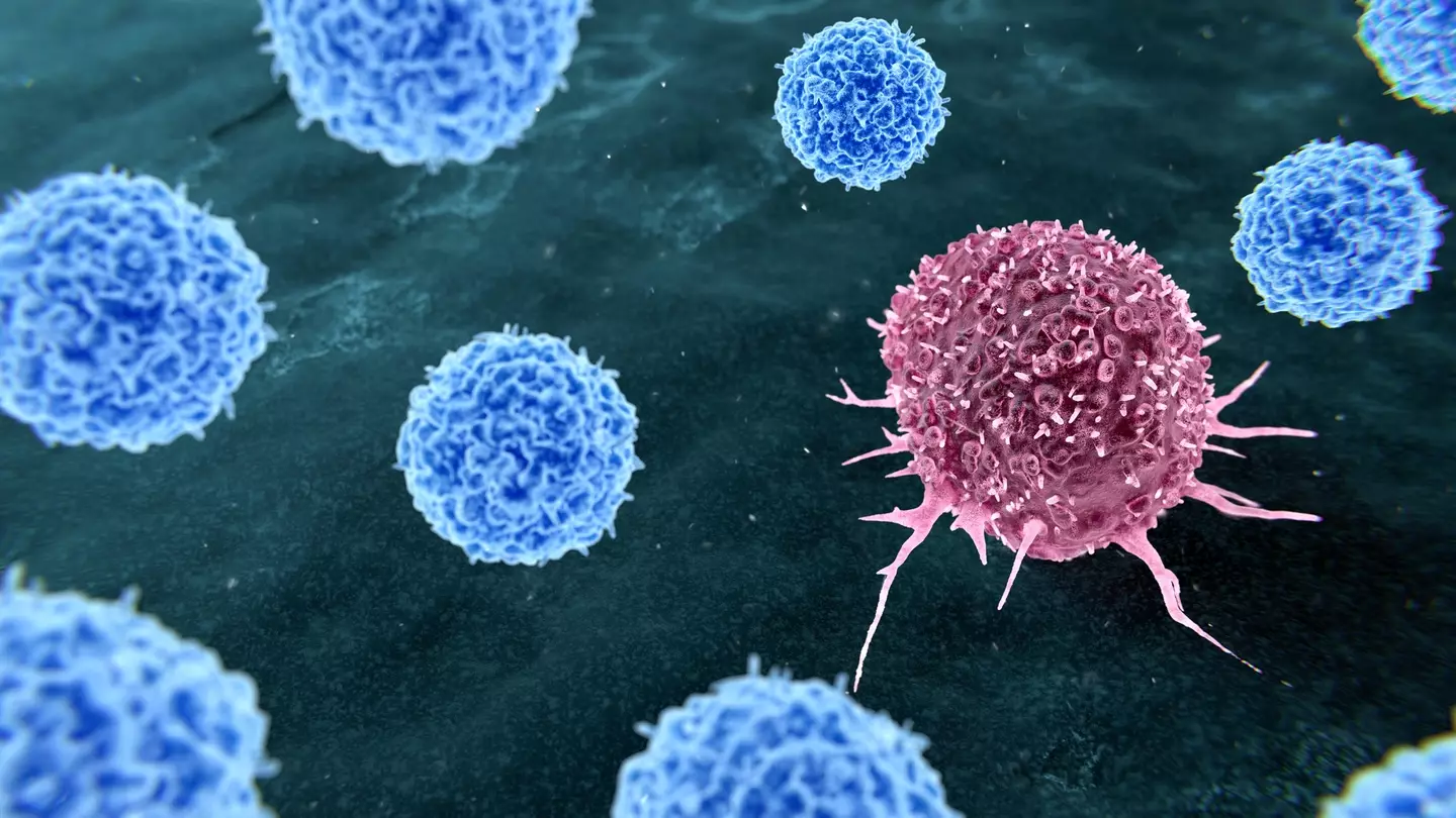 Some cancers are on the rise in young people (Getty Stock Image)