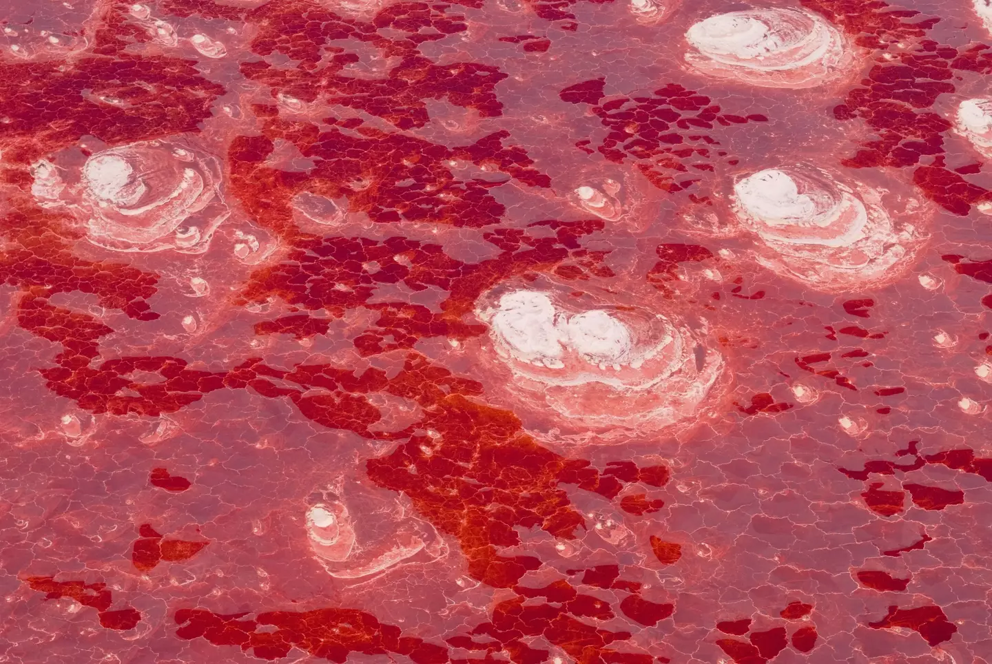 The lake is a terrifying red due to its high temperature.