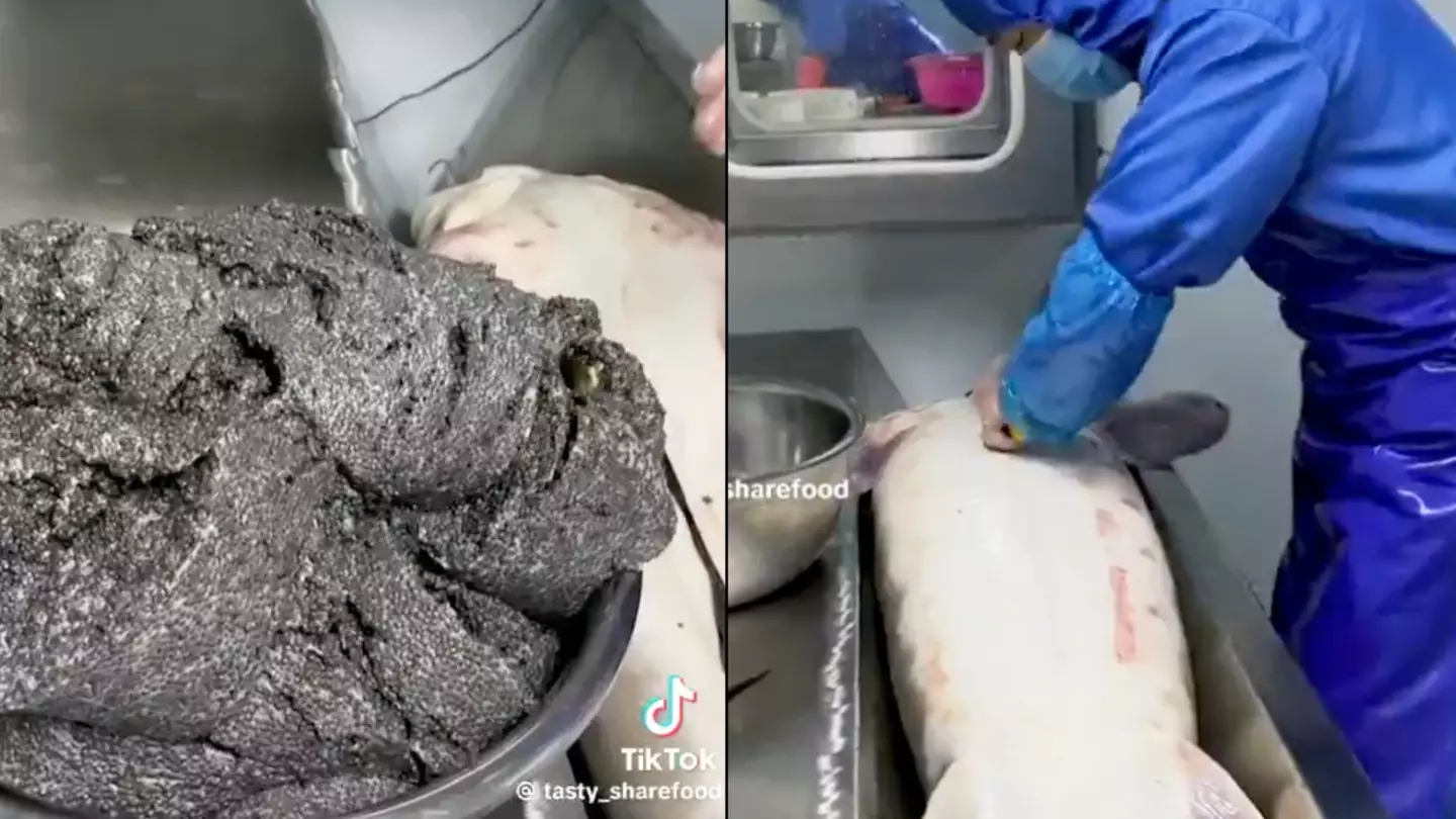 People disgusted after witnessing brutal reality of where caviar comes from