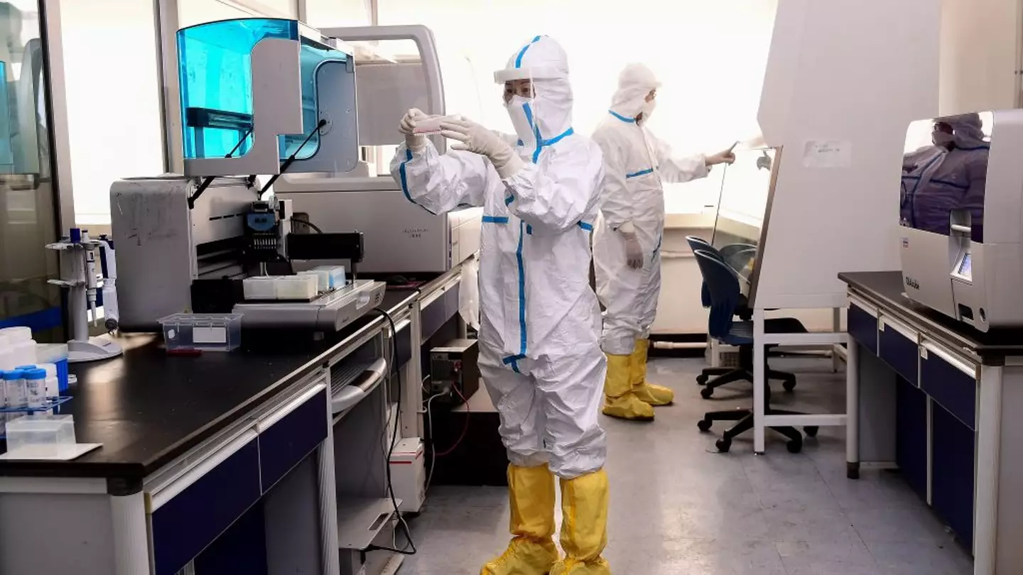 Everything we know about where Covid-19 originated as China makes bombshell claim after lab leak allegations