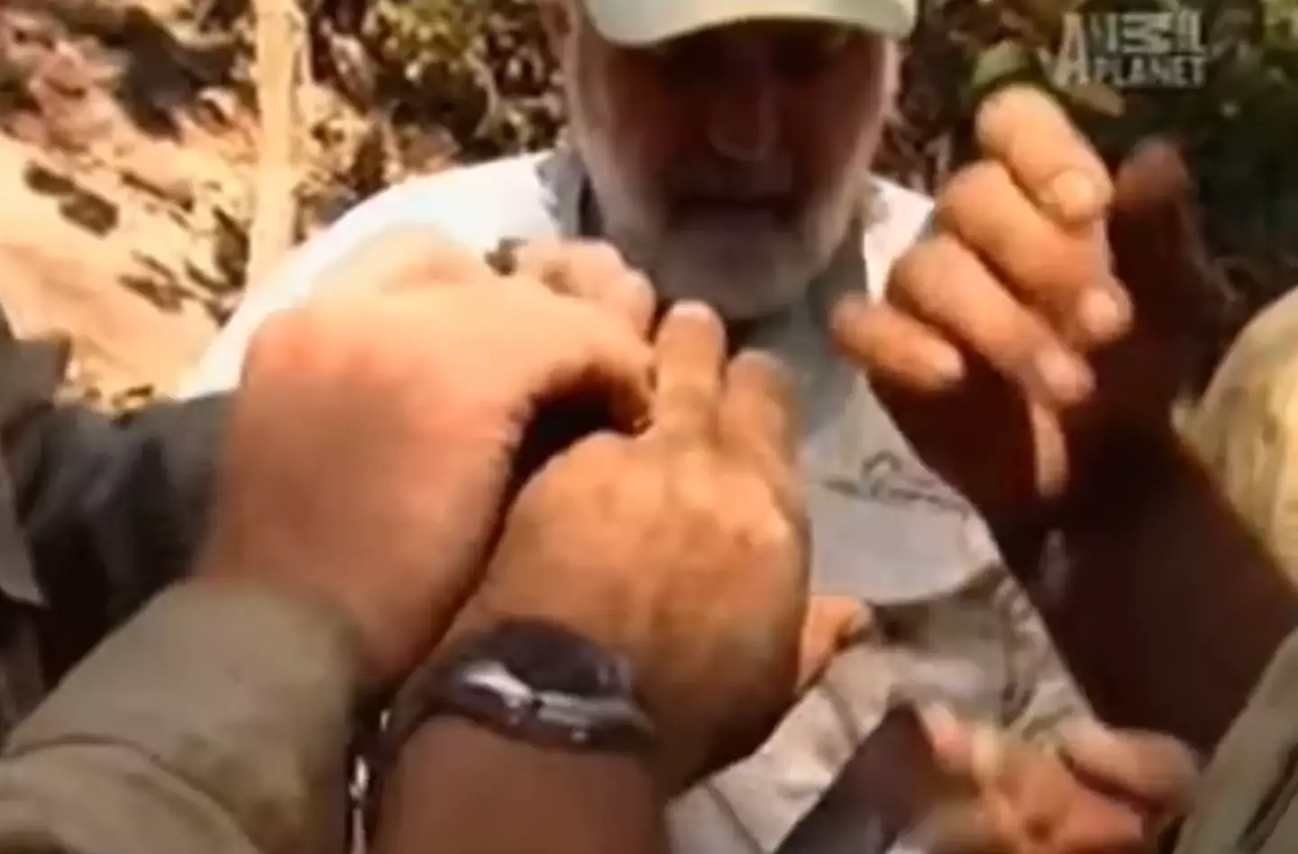 Fans have been bowled over by his calm response to the situation.