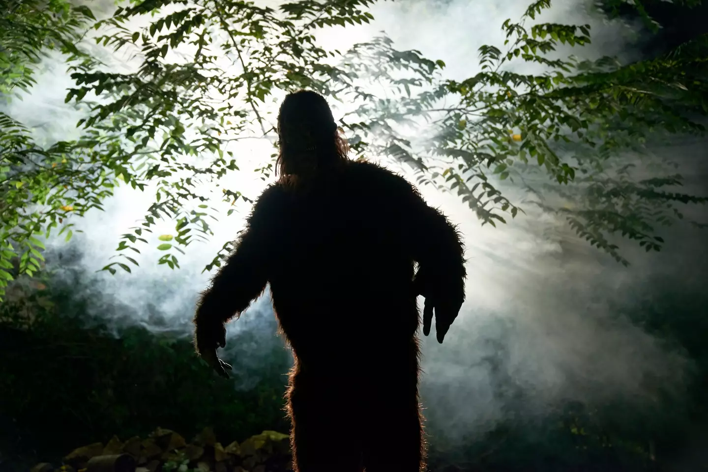 Could there be a Bigfoot in the UK?