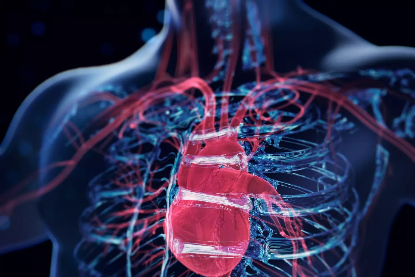 Cardiologist Dr Evan Levine explained the 10 steps you can do to reduce your chances of a heart attack (Getty Stock Image)