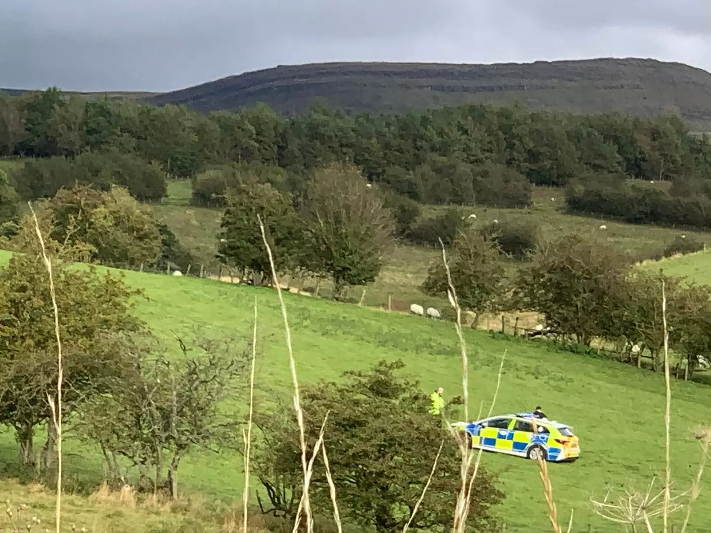 Police and an air ambulance arrived on the scene, but the child sadly died overnight in hospital. (PA News)