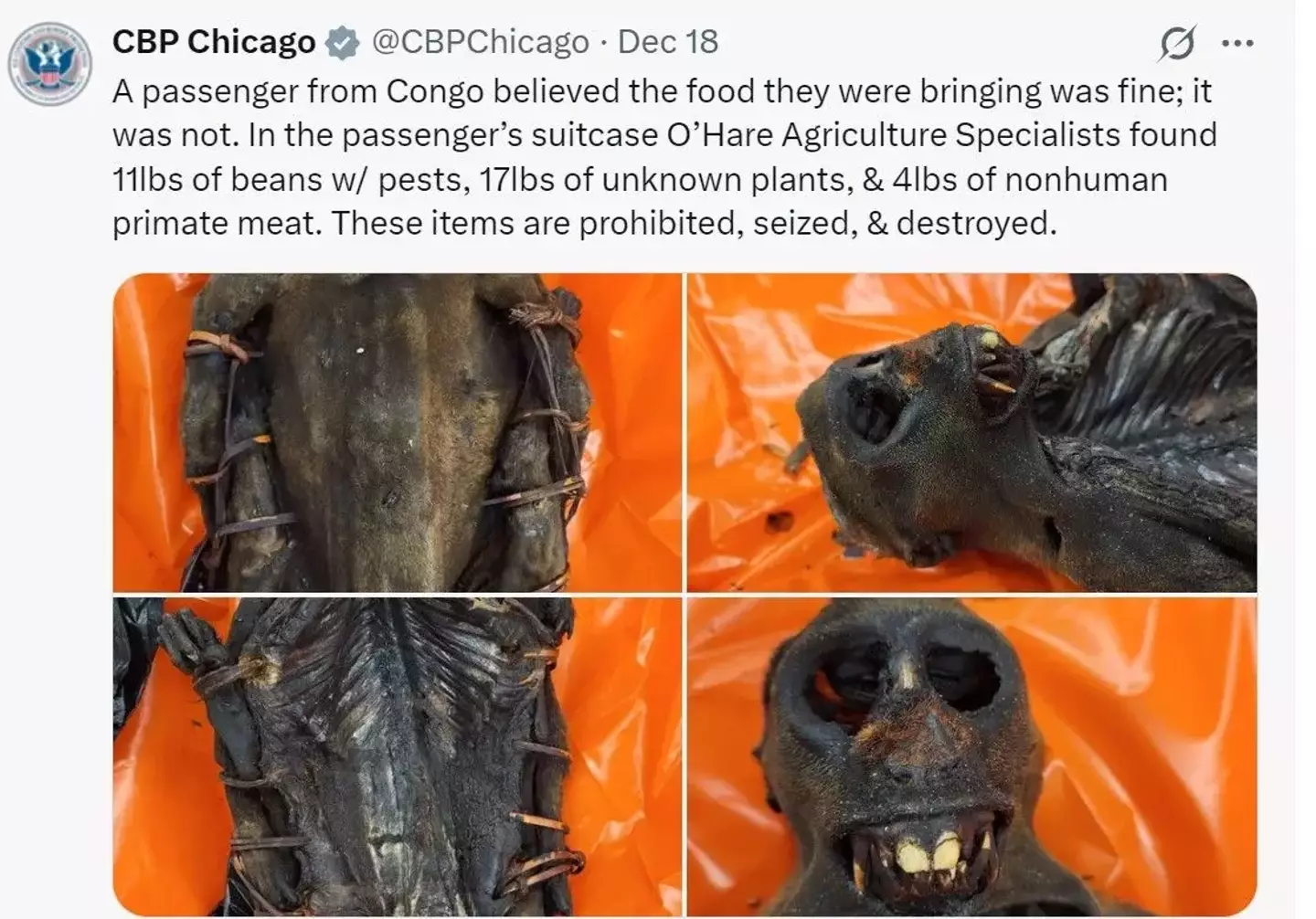 Non-human primate meat, beans, and mummified animals were confiscated (X/cbpchicago)