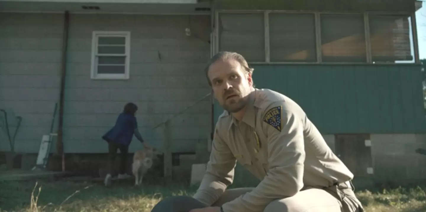 David Harbour was 'overwhelmed' by Stranger Things (Netflix)