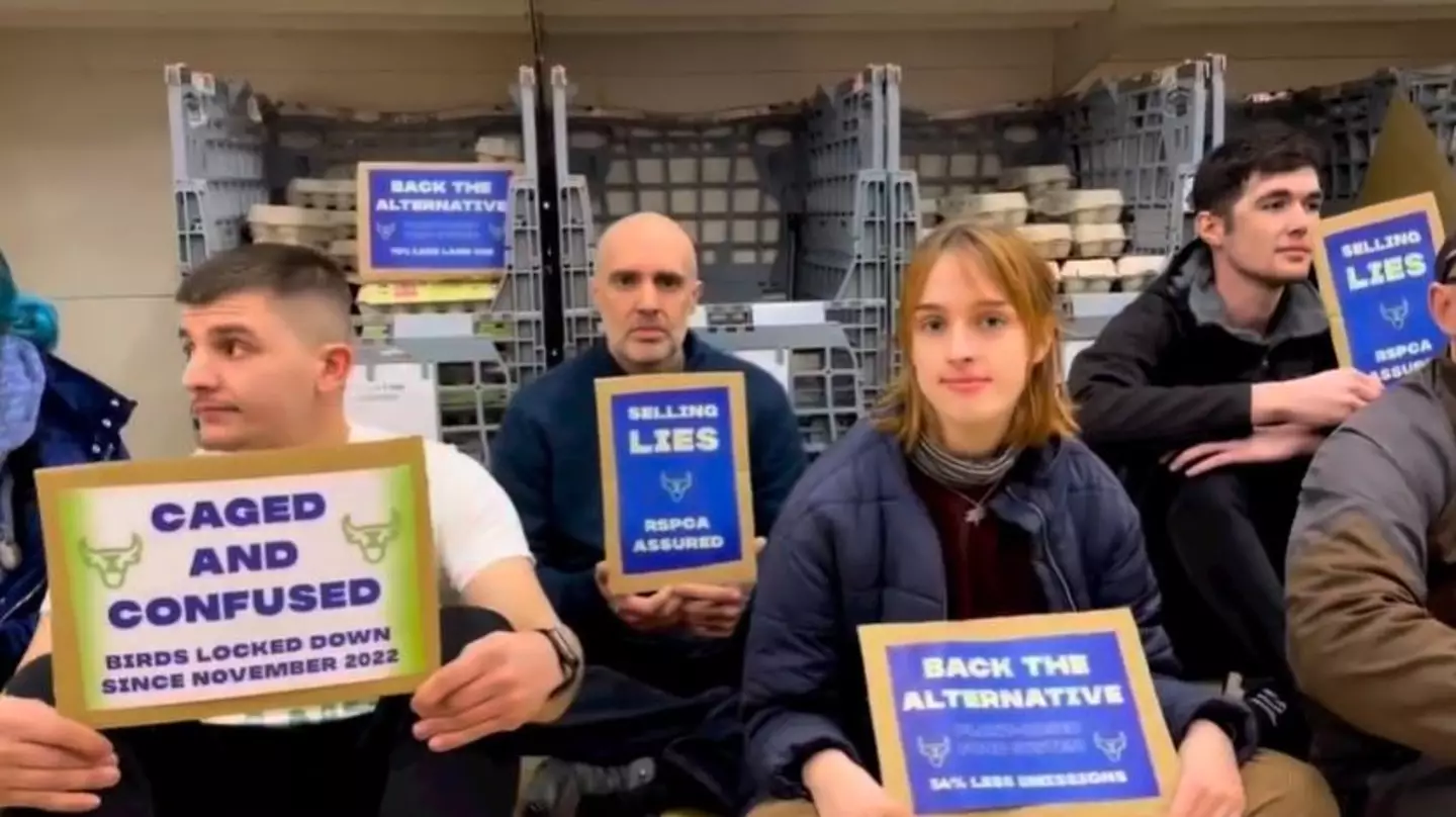 Activists from Animal Rebellion regularly stage protests in supermarkets.