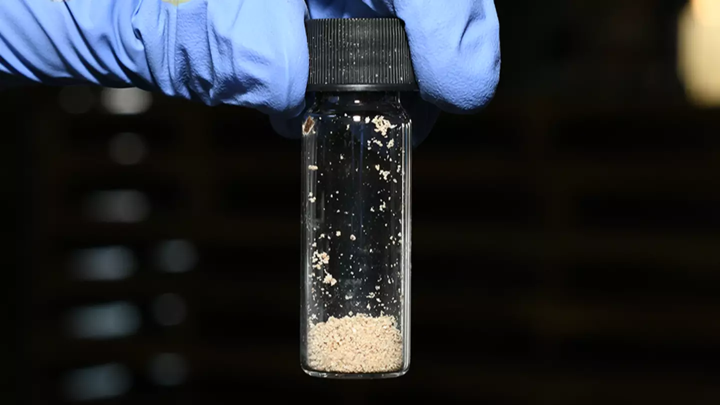 Police have discovered a record shipment of fentanyl in Melbourne