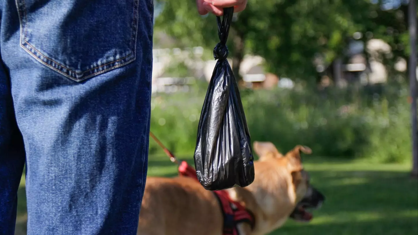 Vet issues grim warning to anyone flushing their pet’s poo down toilet