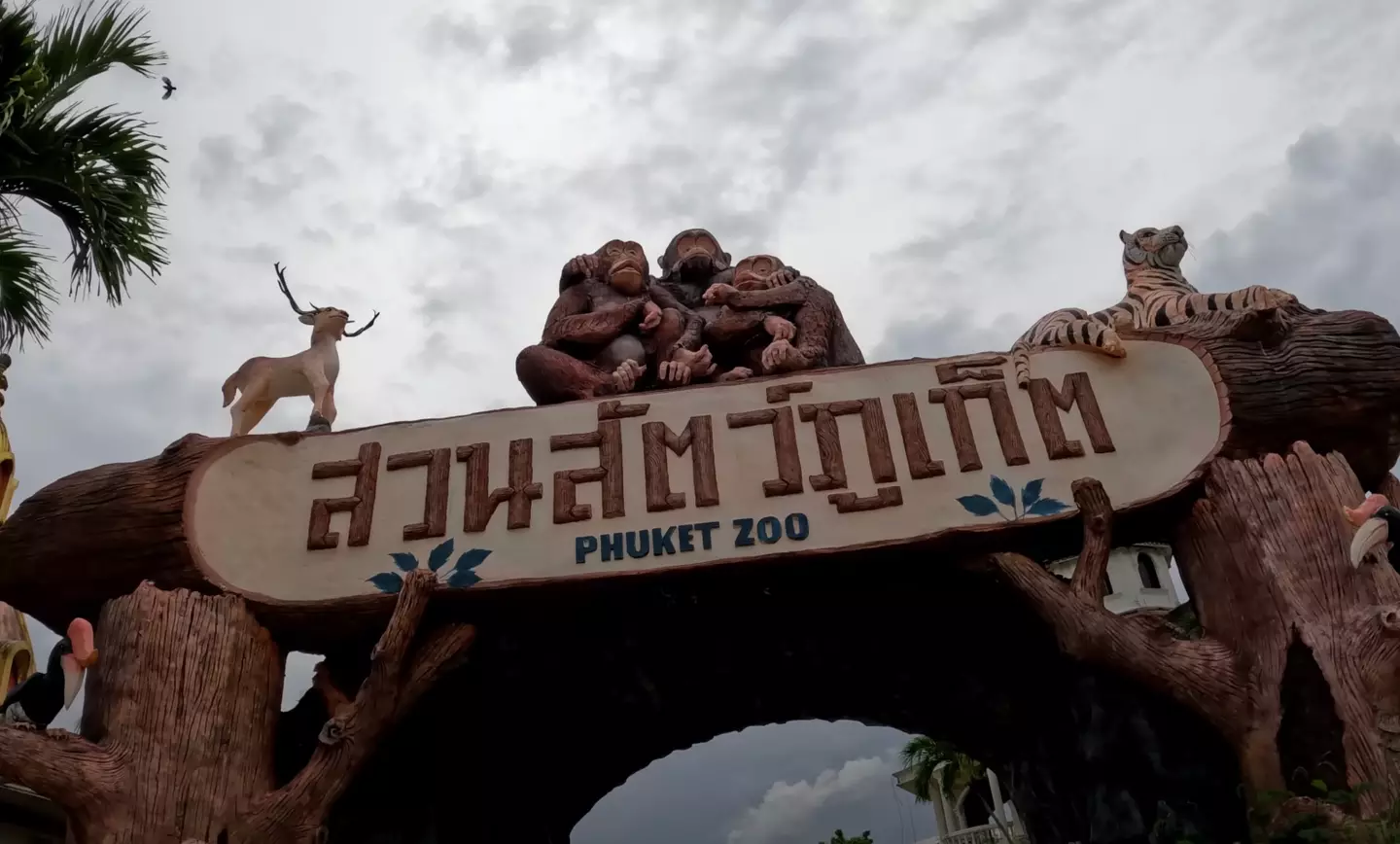 Phuket Zoo was closed during the pandemic (YouTube/SeanKing5150)