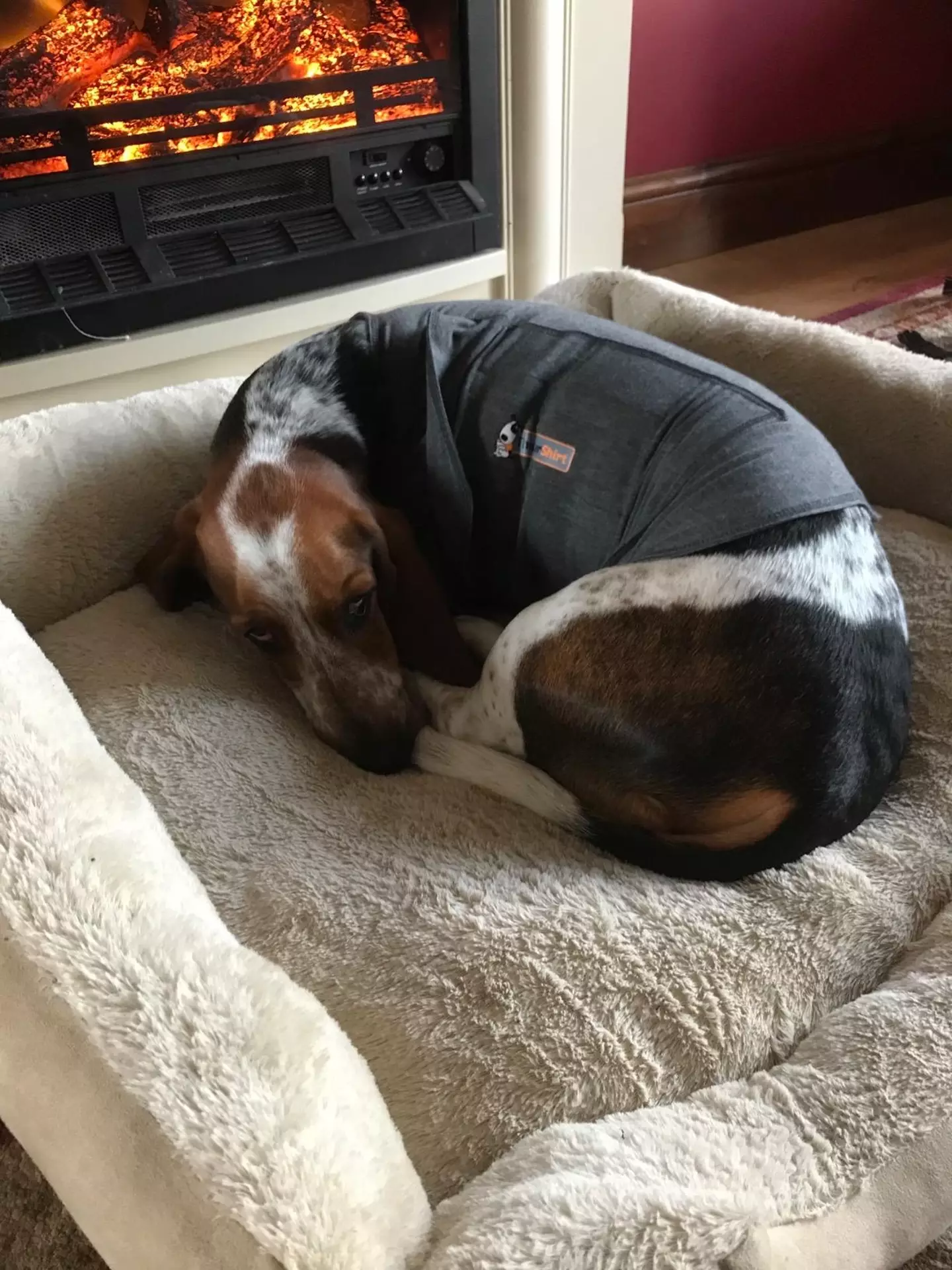 The anti-anxiety gadget in action (Amazon reviews)