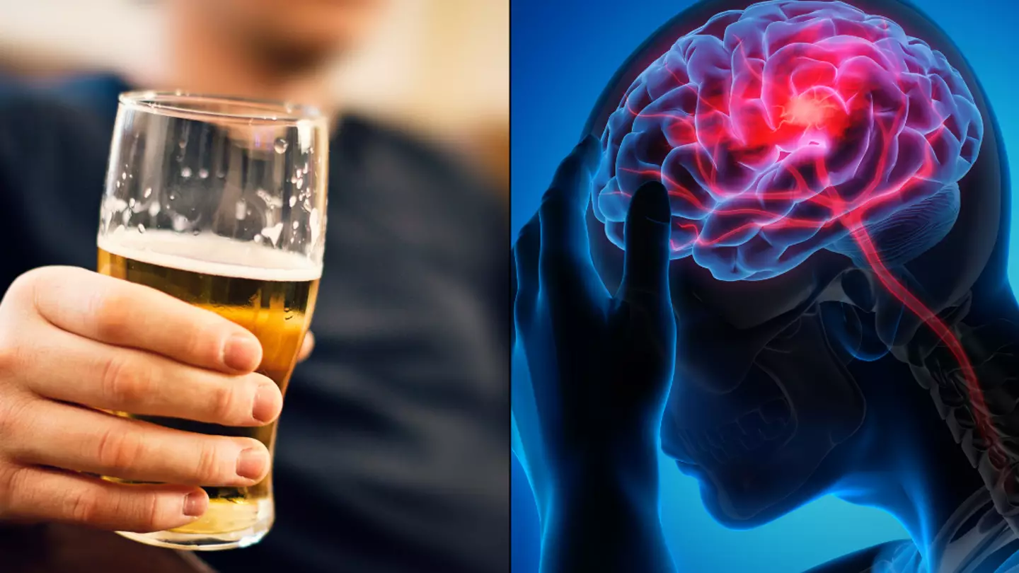 How long it takes for brain to recover from drinking alcohol and timeline of reversing effects