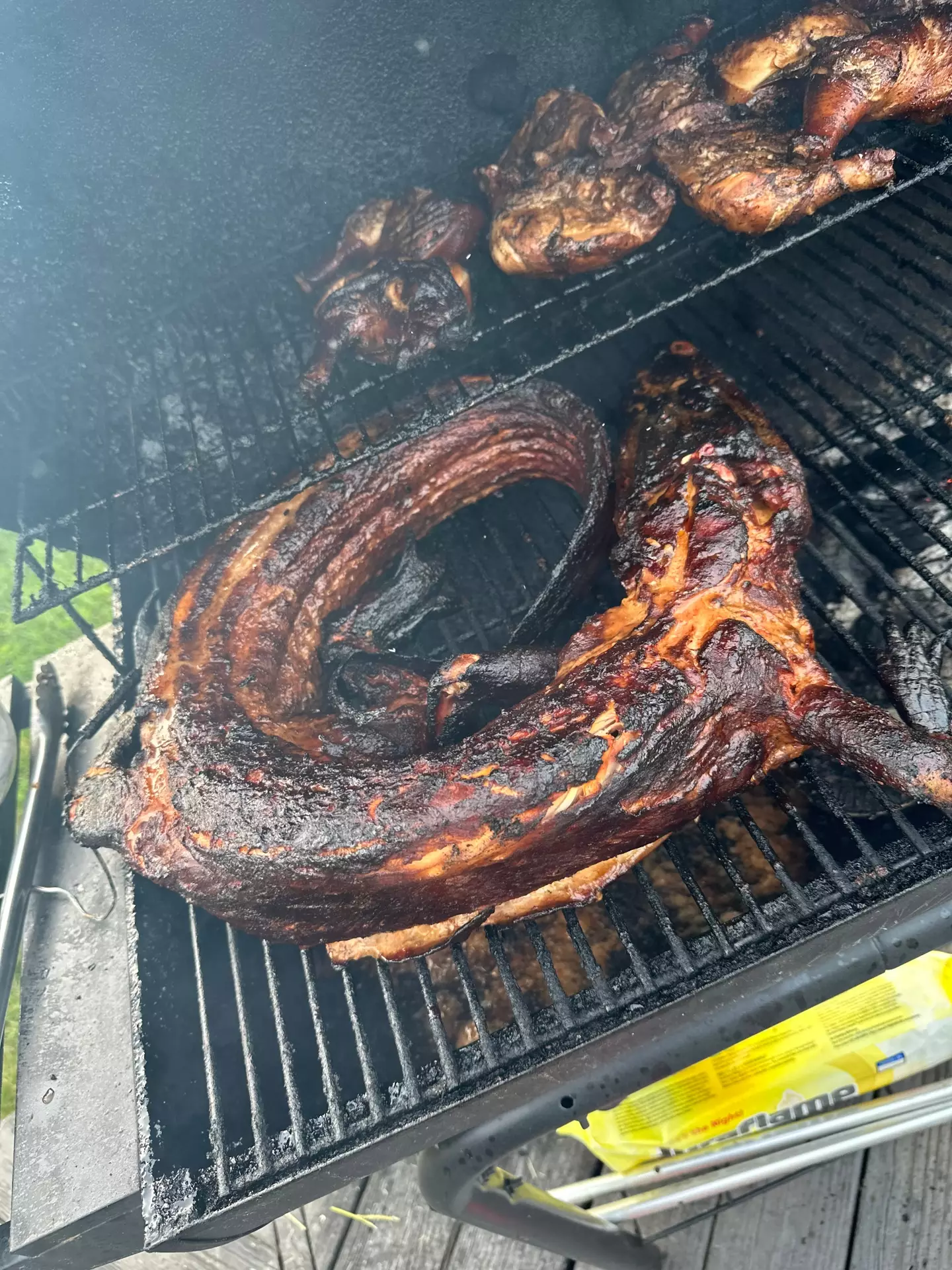 The alligator cooked. (engineering_bae/X)