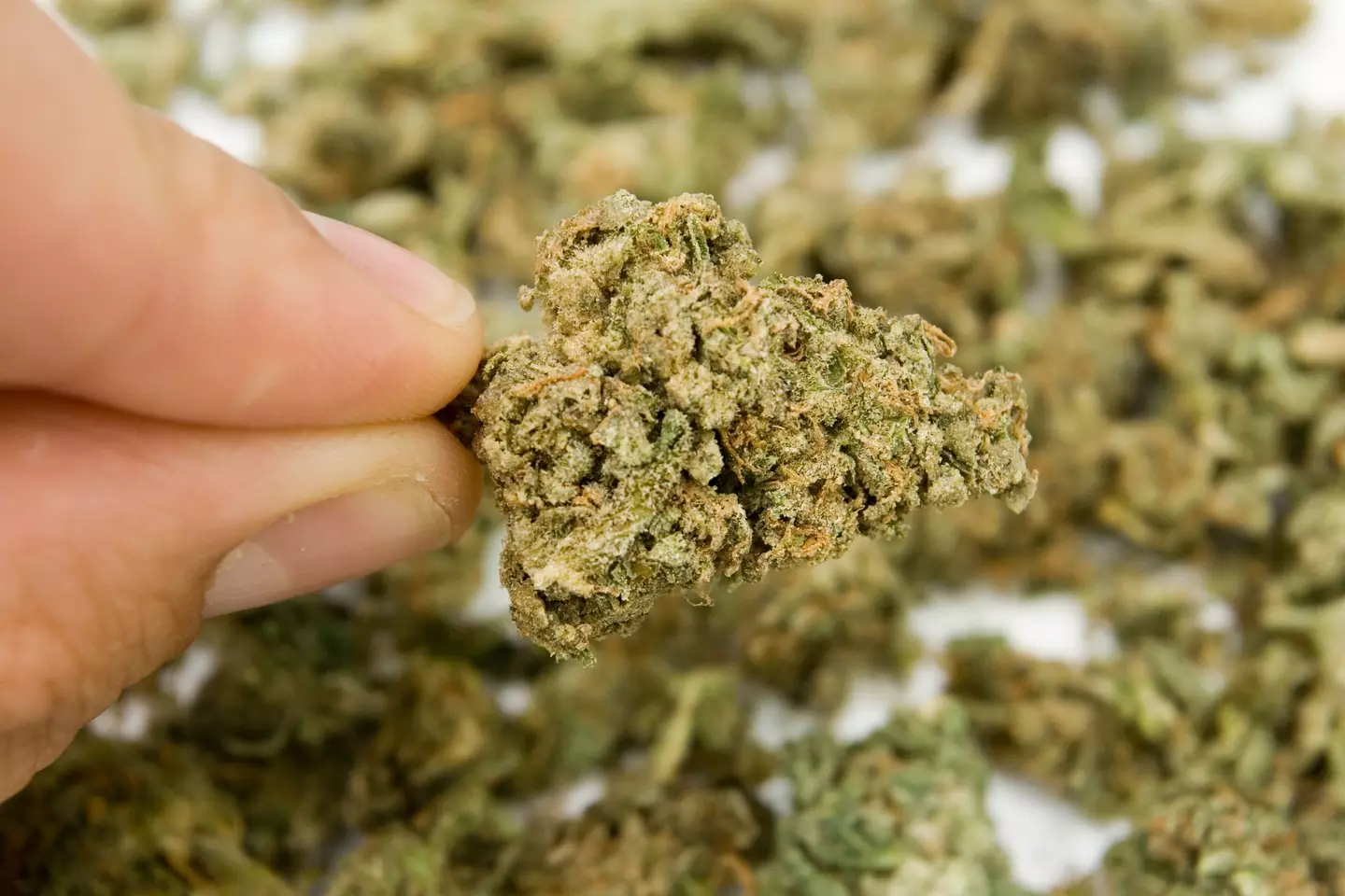 Class B drugs have lesser penalties than those which are Class A.