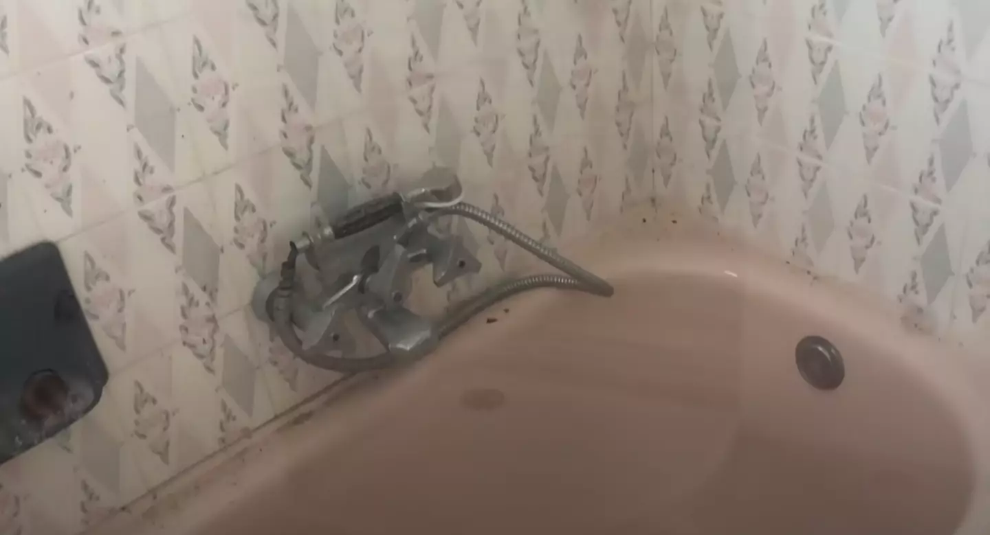 The property hadn't been touched in decades. (YouTube/Insider News)