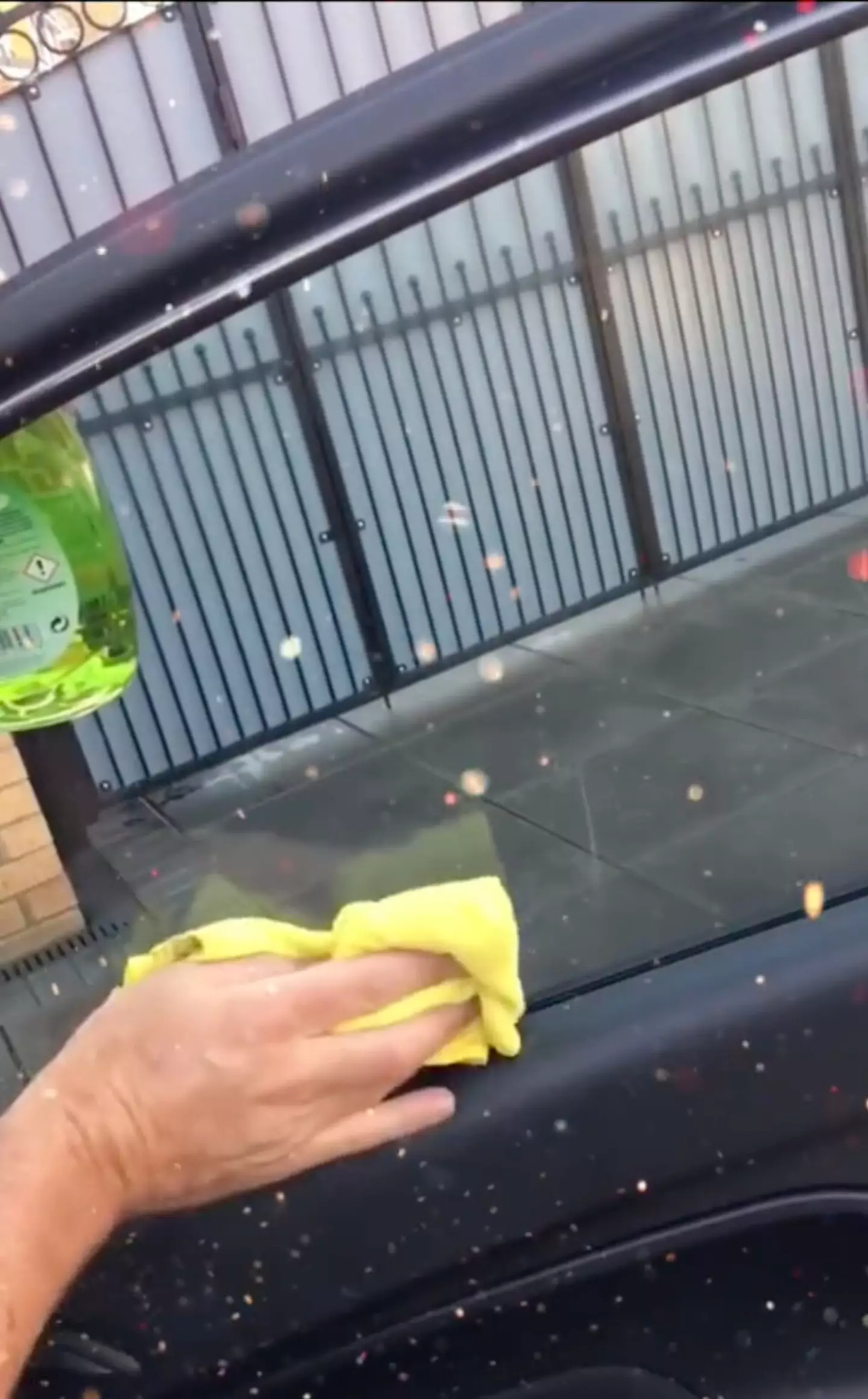 Pour some washing up liquid on a cloth and buff it onto your windows.