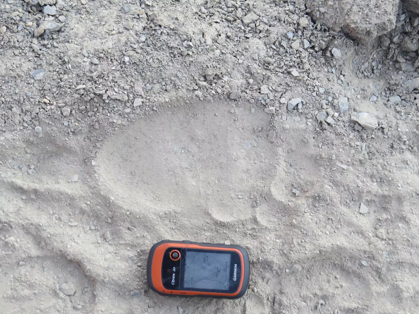 A footprint left by a large animal in Nepal.