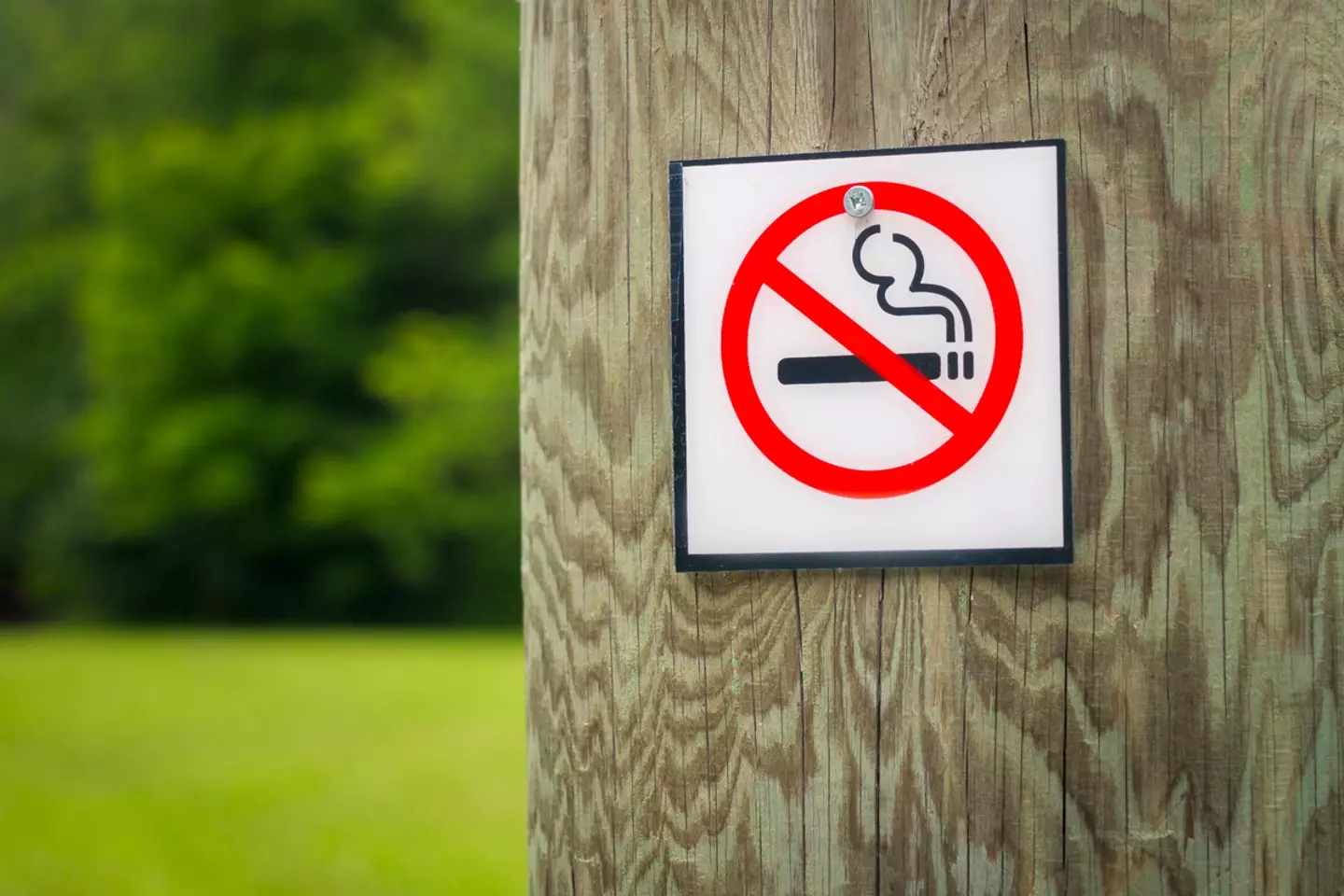 Sunak  plans to introduce a new law banning tobacco sales to anybody born on or after January 1 2009, similar to that of New Zealand.