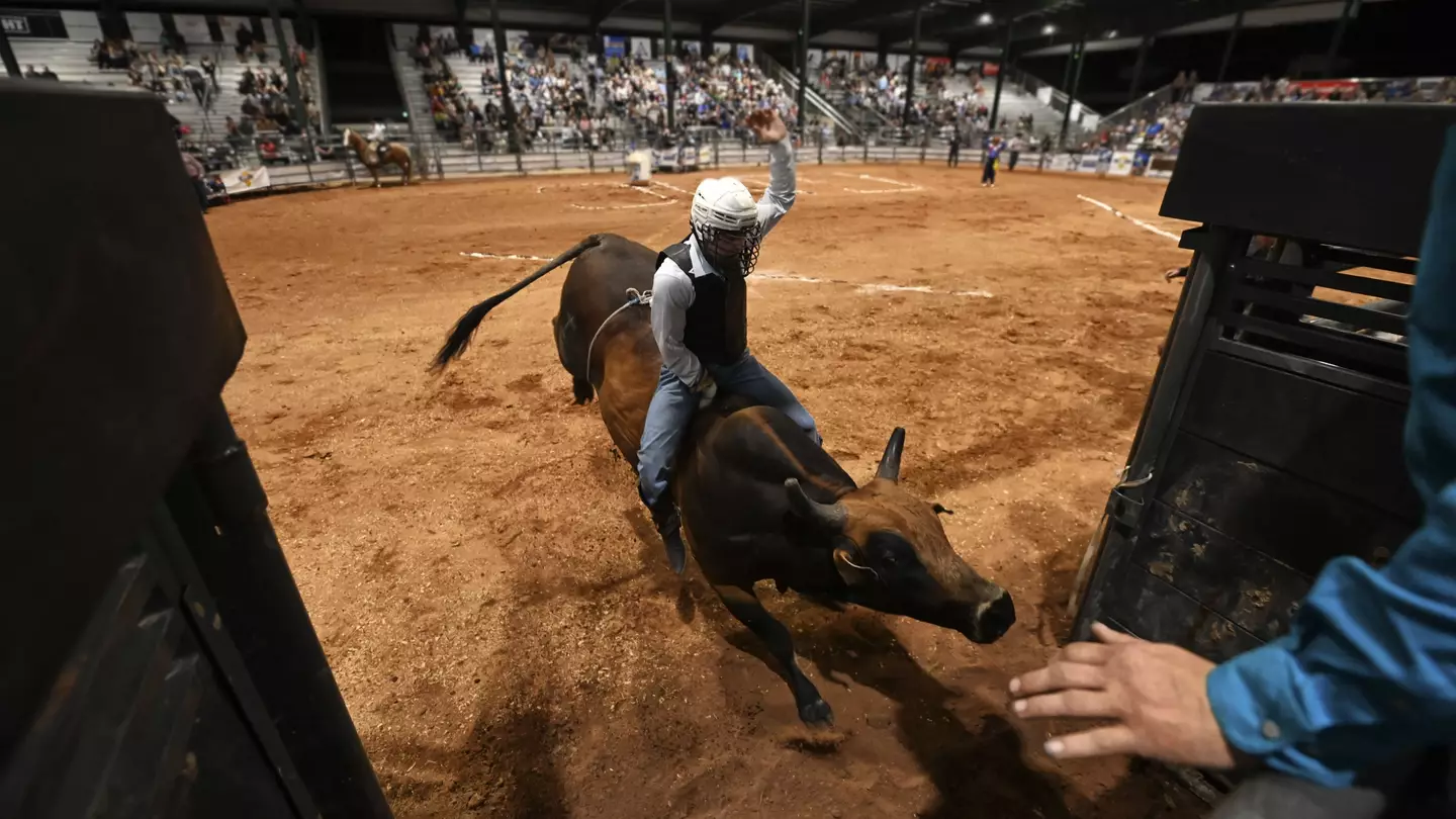 Rodeo rider almost bleeds to death after being gored by bull horn in mid-air