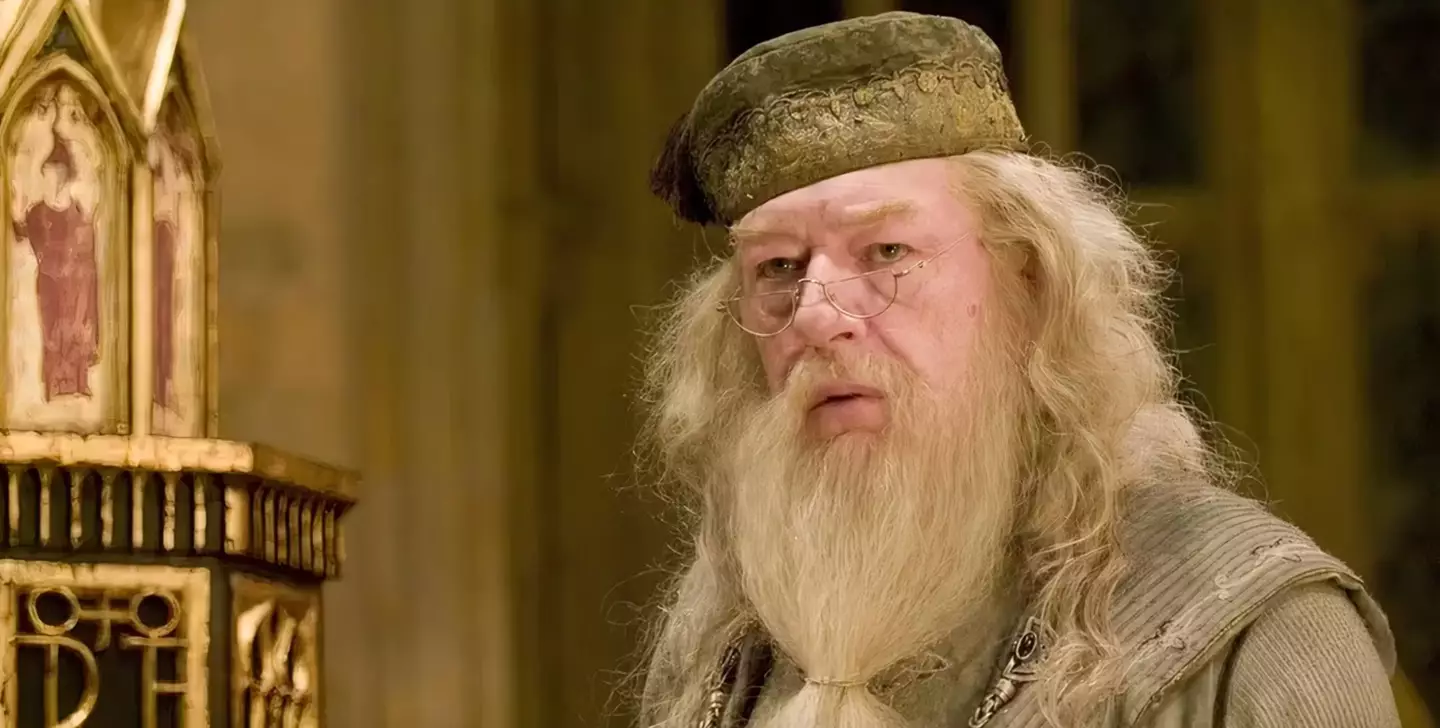 Gambon portrayed Dumbledore for the longest period of time (Warner Bros.)