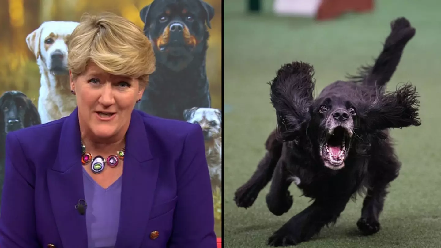 Crufts viewers hit out at ‘appalling’ competition after RSPCA make statement