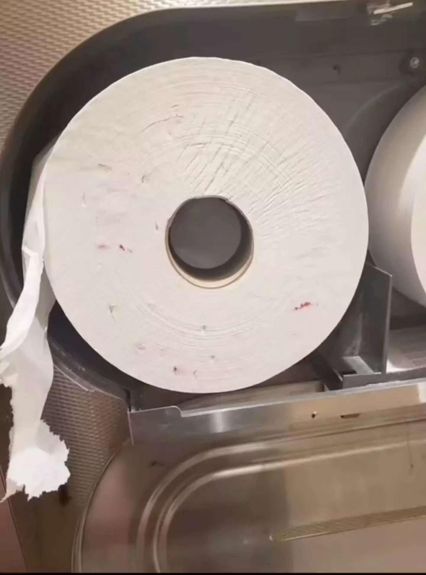 Doctor ‘unlocks new fear in people’ after sharing warning about marks on public toilet paper 2 The medic explained there is still a risk of transmission even if the blood has dried (TikTok/@drsermedmezherexplains)