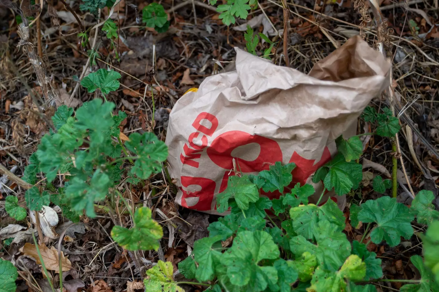 It is hoped the initiative could encourage customers to properly dispose of their waste.