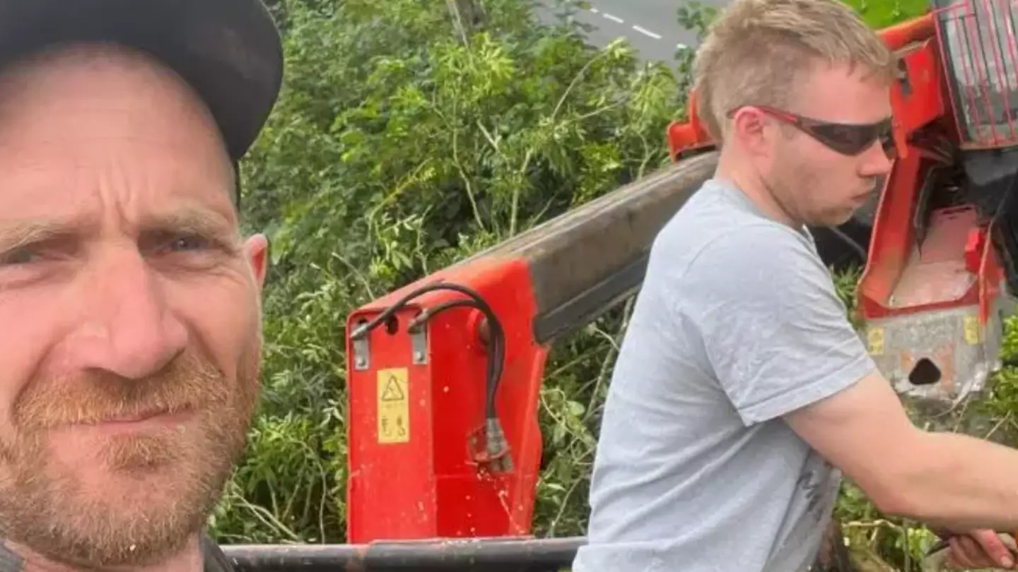 Two men found guilty of chopping down world famous Sycamore Gap tree