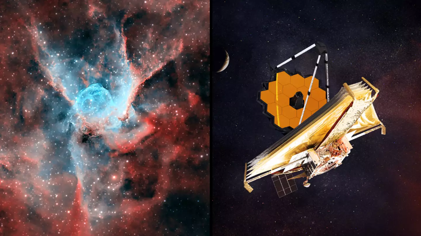 James Webb Space Telescope finds 'real surprise' at beginning of the universe