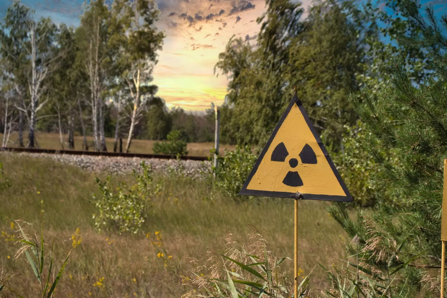 Warning danger radiation sign near the Red forest in Chernobyl exclusion zone.