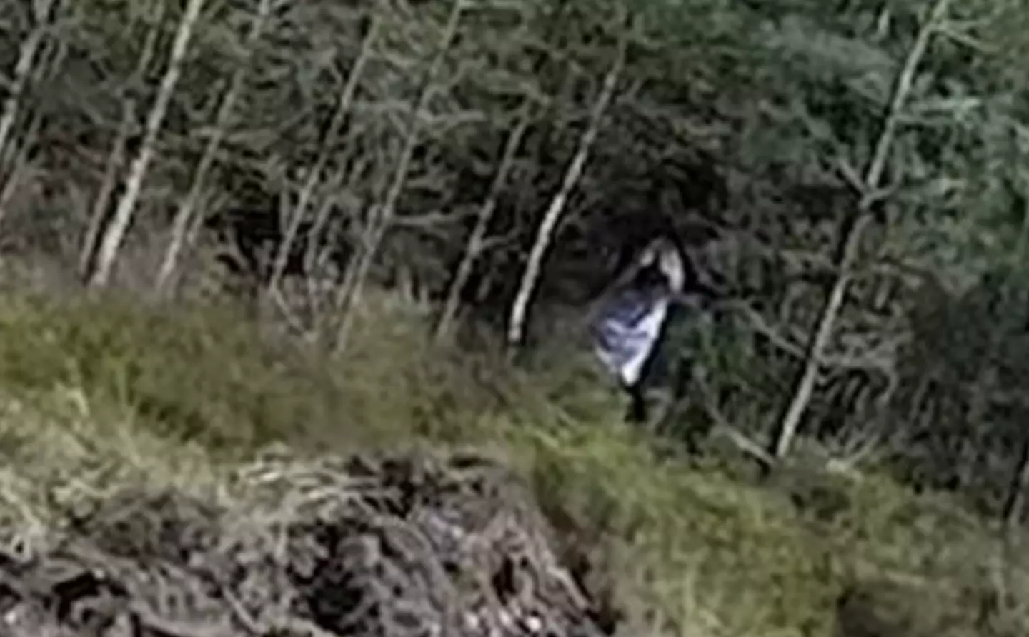 Is it a ghost, or just someone playing dress-up?