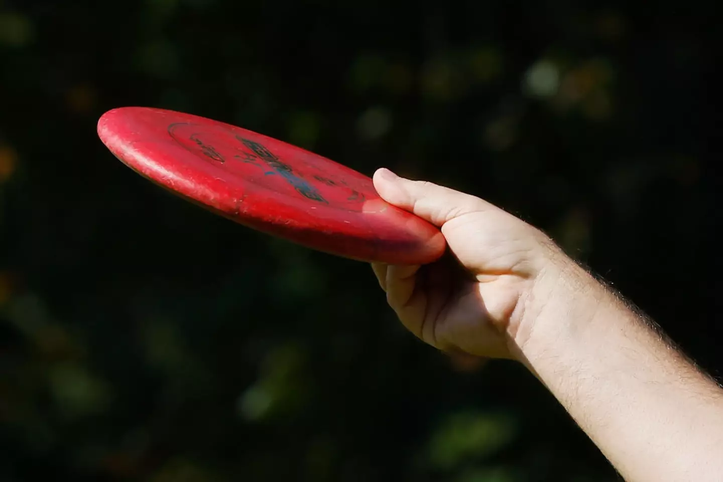 The incident occurred at a disc golf event in Nashville (Bruce Bennett/Getty Images)