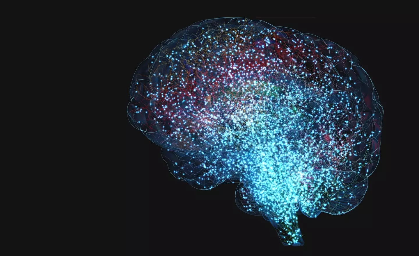 The neuroscientist explained the organ was charged with gamma waves after the woman was removed from life support (Getty Stock Image)
