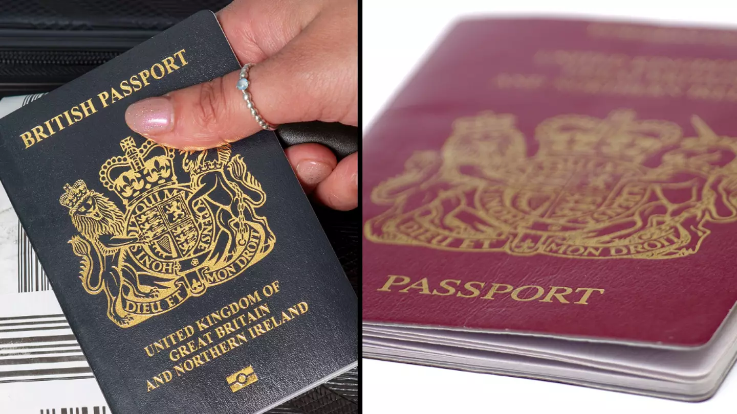 Martin Lewis' experts issue warning to everyone who needs a new passport